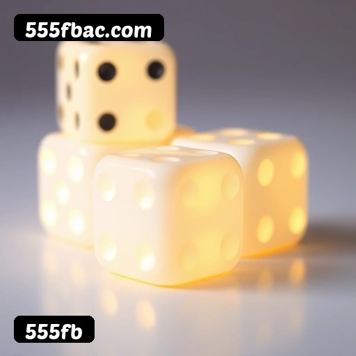 Suporte 24 horas 555fb
